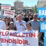 25031214872897821041