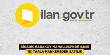 25031315592498427722tasarimli