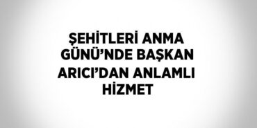 25032225992066221604tasarimli