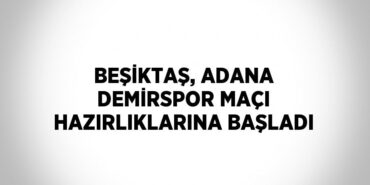 25039272762416929106tasarimli