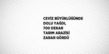 25051238542566424439
