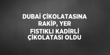 25055316482986528470tasarimli