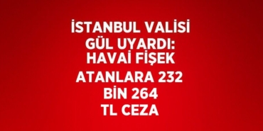 25056297532993431249tasarimli