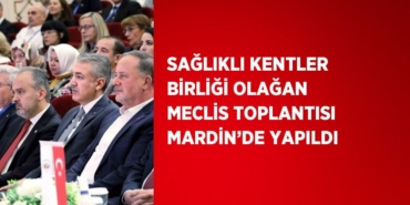 25058206602172930585