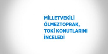 25060319582739724801