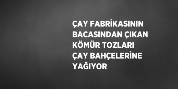 ÇAY FABRİKASININ BACASINDAN ÇIKAN KÖMÜR TOZLARI ÇAY BAHÇELERİNE YAĞIYOR