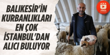 25068267793132423337