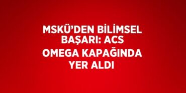 25068294202418130894tasarimli