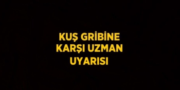 25069274642983627009tasarimli