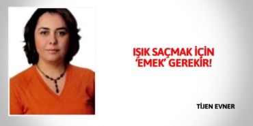 25070217372607824538