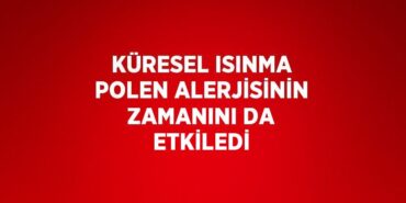 25071302952389123053tasarimli