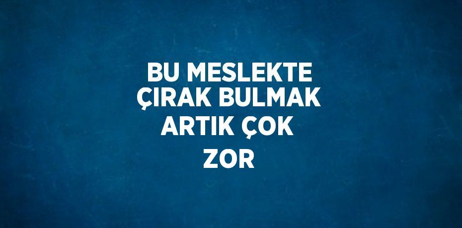 25071317793086922480tasarimli