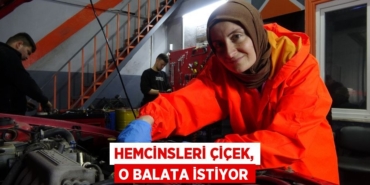 25076266062194030749tasarimli