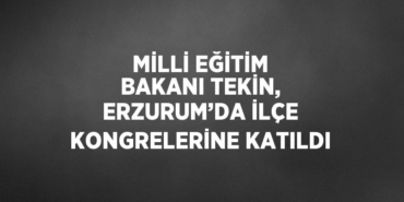 25078294322453430427tasarimli
