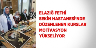 25080219302553828368