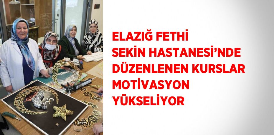 25080219302553828368