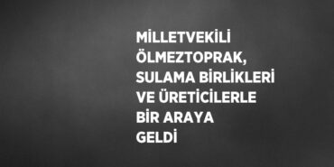 25086227172806120480