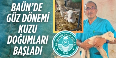 25090226182987128528