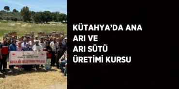 25094246262085724980