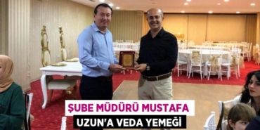 25096294802113420236tasarimli