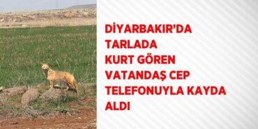 25097313352974922528