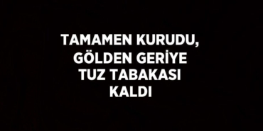 25101221452599427956tasarimli