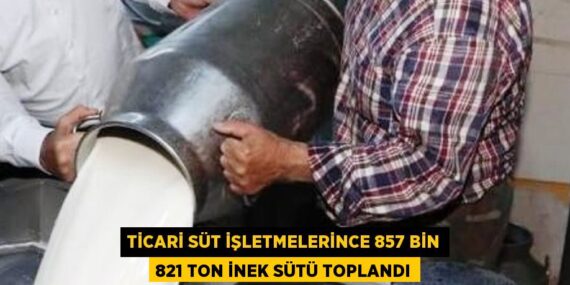 TİCARİ SÜT İŞLETMELERİNCE 857 BİN 821 TON İNEK SÜTÜ TOPLANDI