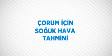 25108250402267024861tasarimli