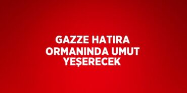 25112215682754127403tasarimli