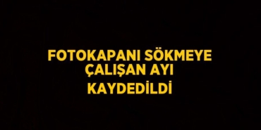 25113225292147526535tasarimli