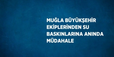 25114229962041029095