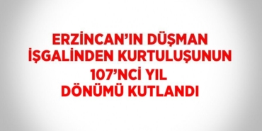 25115238552754229987tasarimli
