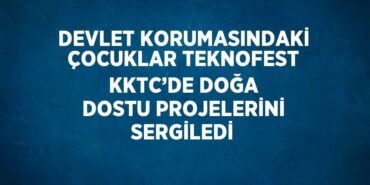 25117286222262830418tasarimli