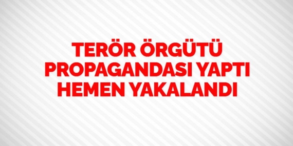 TERÖR ÖRGÜTÜ PROPAGANDASI YAPTI HEMEN YAKALANDI
