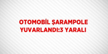 25119206743148523291tasarimli