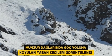 25123253552144024114tasarimli