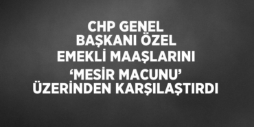 25127231642285830880tasarimli