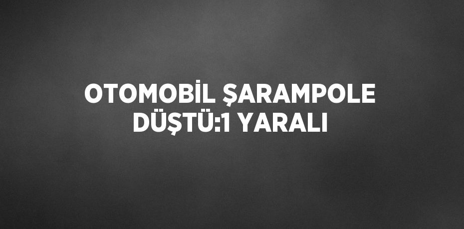 25133296242946421270tasarimli