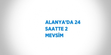 25136278132351129736