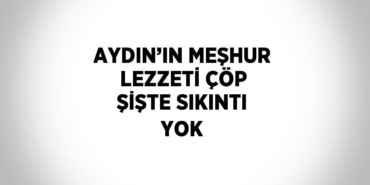 25140240702544527379tasarimli