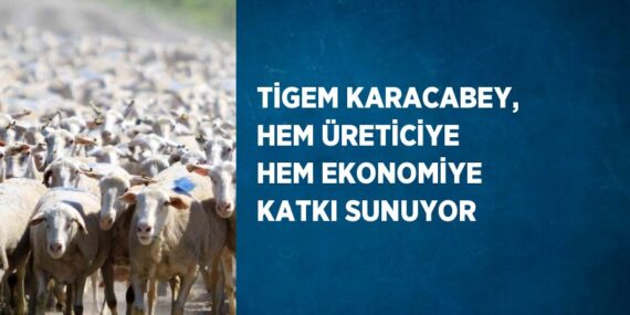 TİGEM KARACABEY, HEM ÜRETİCİYE HEM EKONOMİYE KATKI SUNUYOR