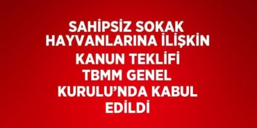 25143259762320025826tasarimli