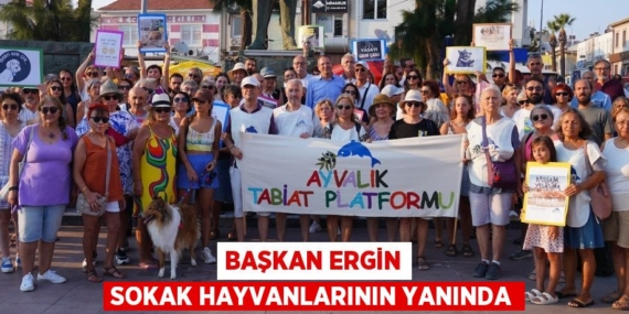 BAŞKAN ERGİN SOKAK HAYVANLARININ YANINDA