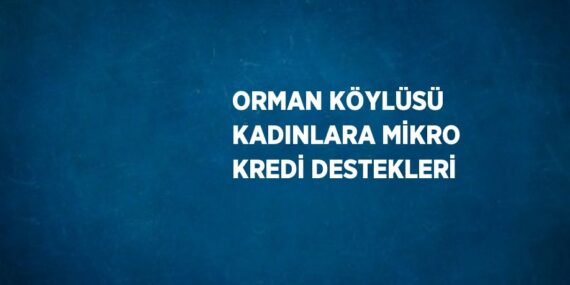 ORMAN KÖYLÜSÜ KADINLARA MİKRO KREDİ DESTEKLERİ