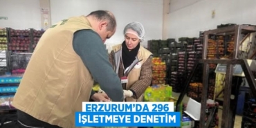 25152243902988222624tasarimli