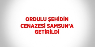 25152312022481527465tasarimli