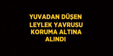 25153222312886424531tasarimli