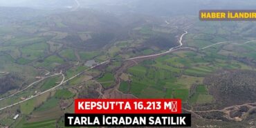 25163319532035228388tasarimli