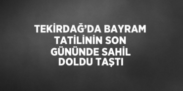 25164216372158129801tasarimli