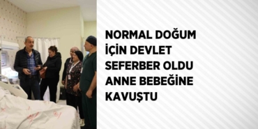 25166221932855626742